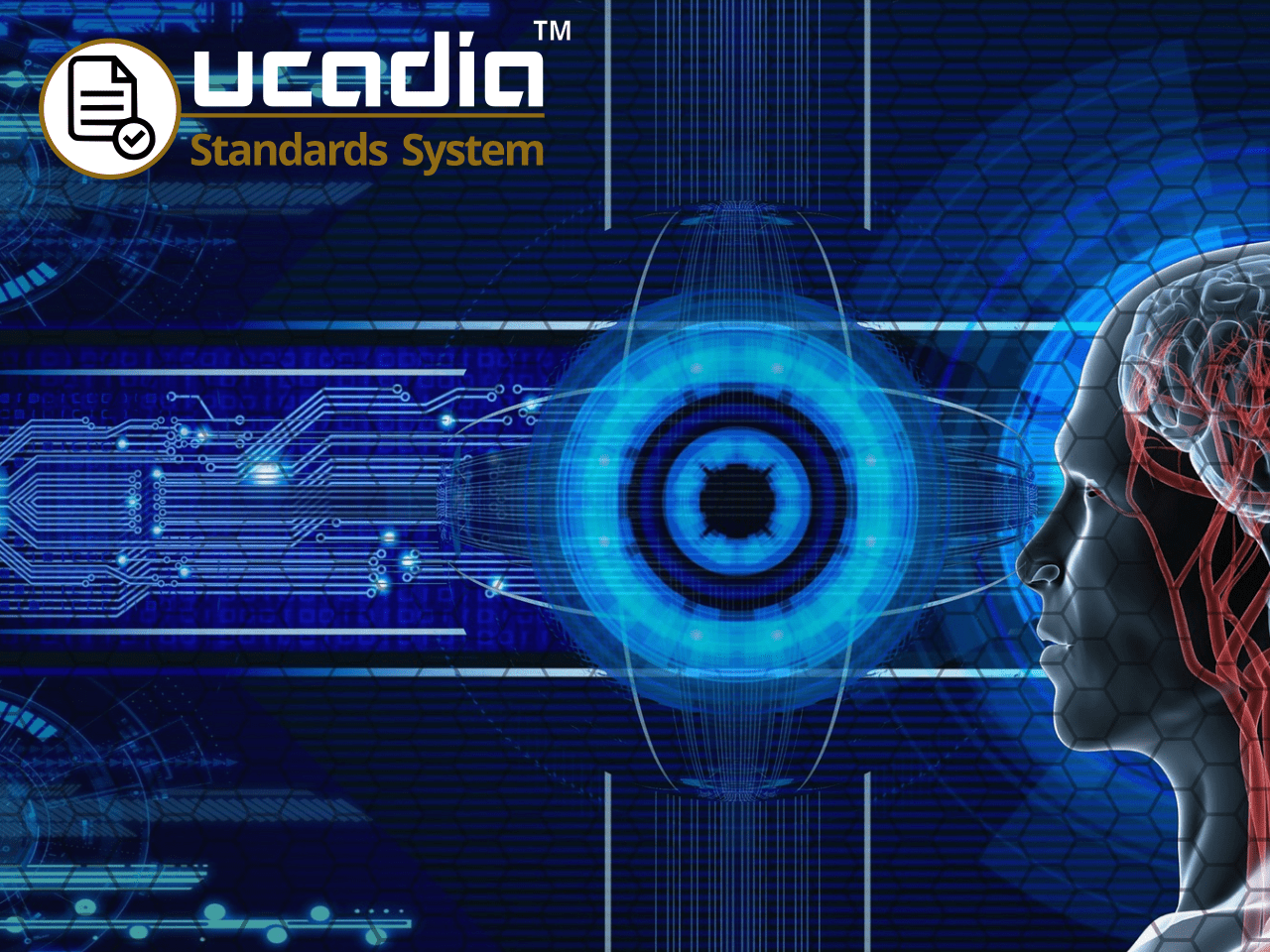 About Ucadia Standards System